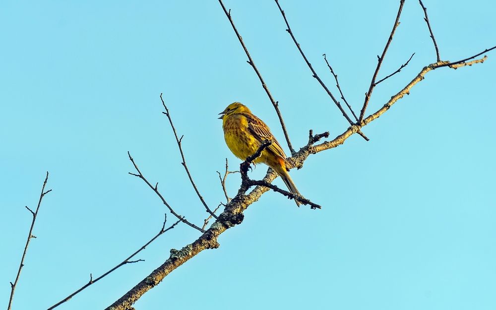 Photograph by Валерий Клейменов