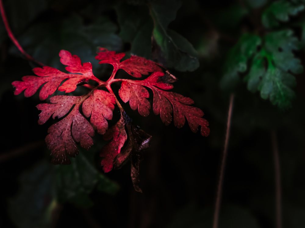 Photograph by Никита Борзов