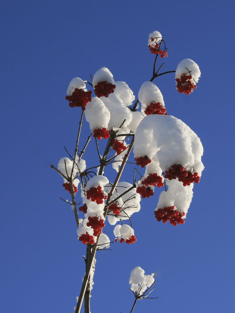 Photograph by Галина Ильясова