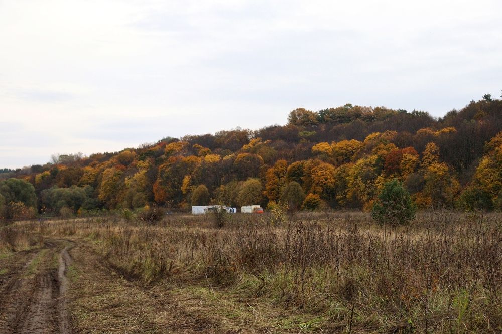 Фотография автора Роман Савин