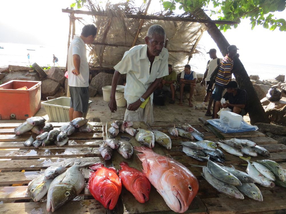 Photograph by Татьяна Поминова