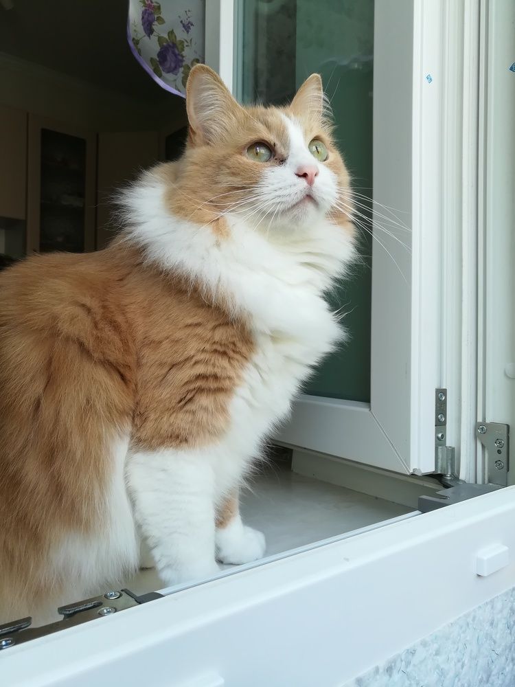 Photograph by Людмила Липаткина