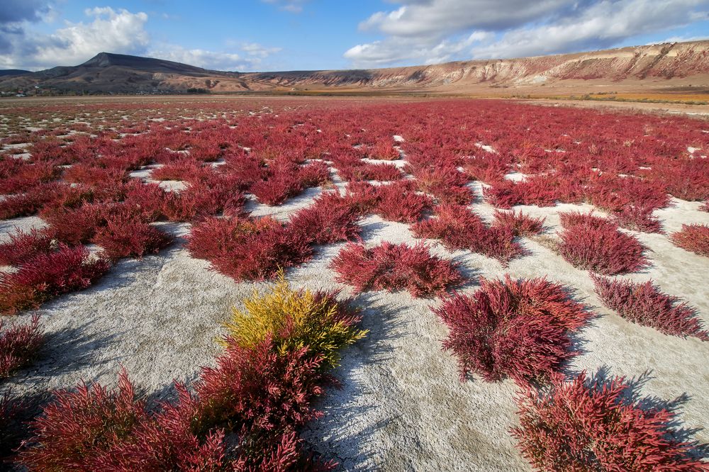 Photograph by Андрей Прищепин