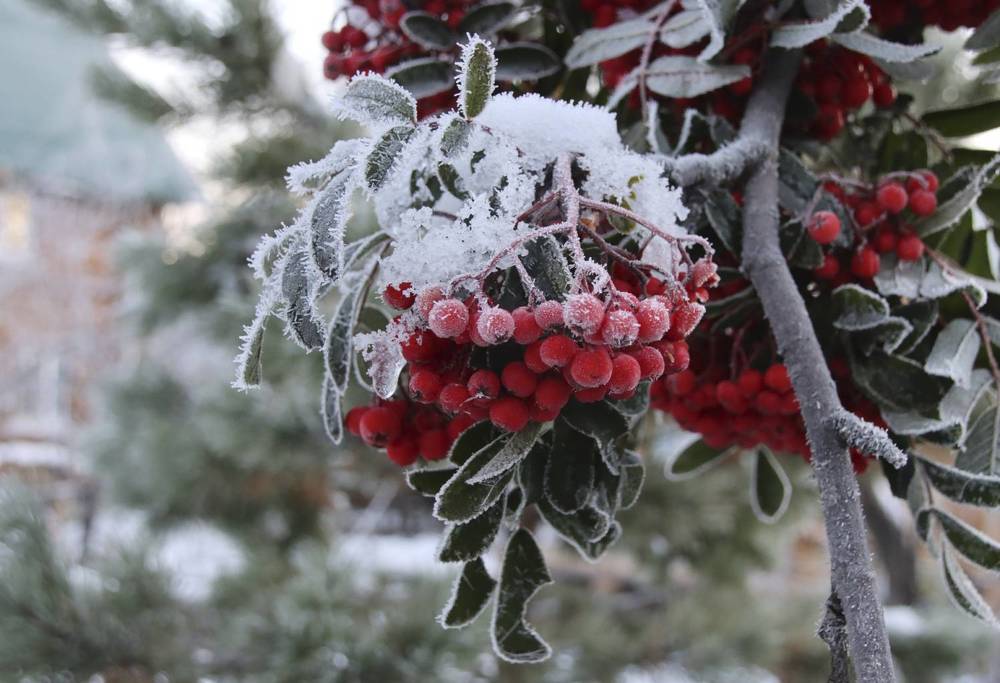 Photograph by Галина Ильясова