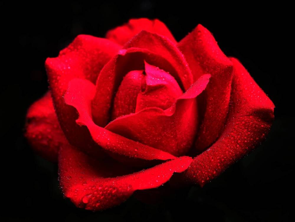 Photograph by Михаил Зорин