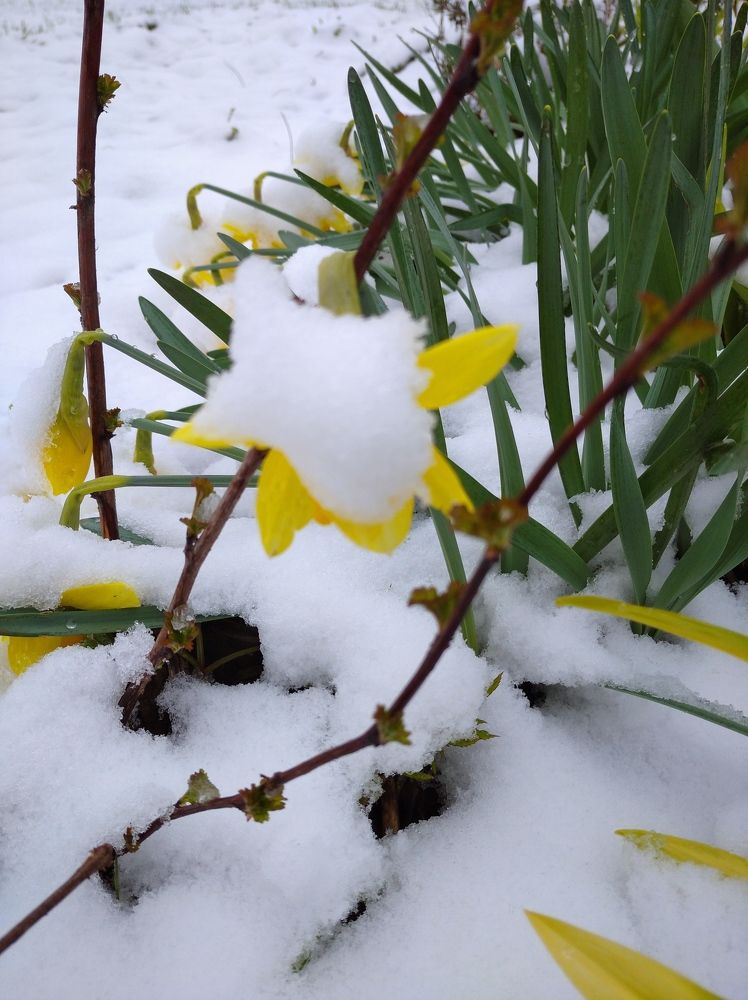 Photograph by Владимир Юрченко
