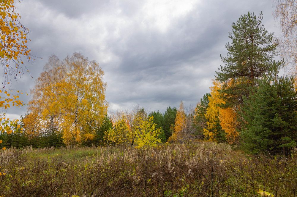 Photograph by Максим Фролов