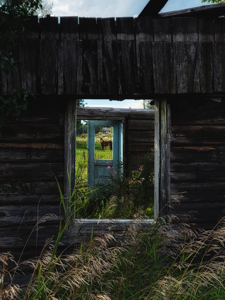 Photograph by Алина