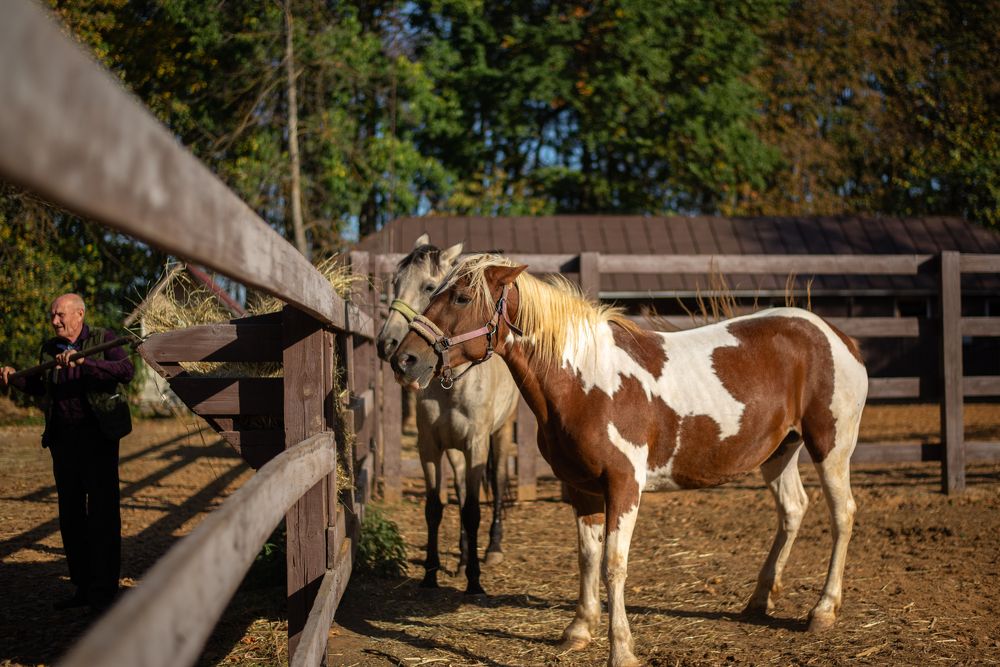 Photograph by Светлана Алдошина