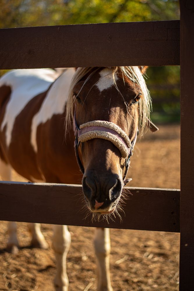 Photograph by Светлана Алдошина