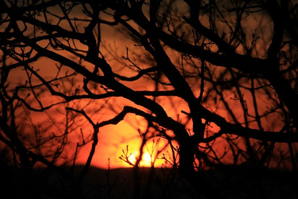 Photograph by Степан Конев