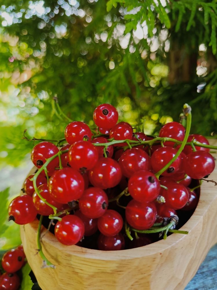 Photograph by Татьяна Бешенкина