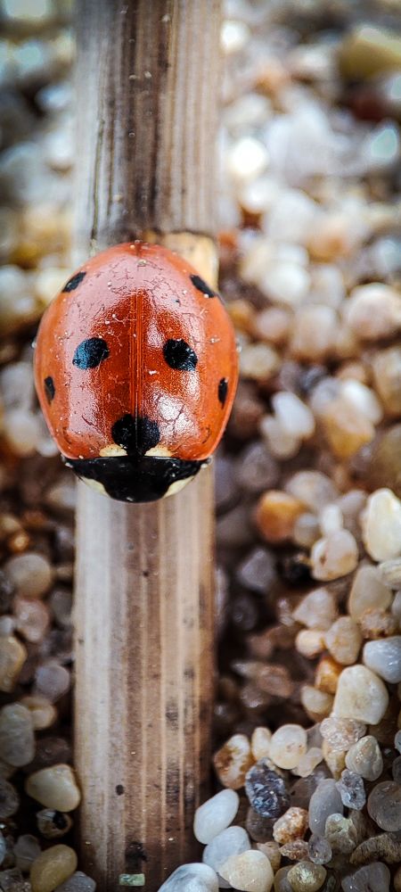 Фотография автора Оркина Ксения