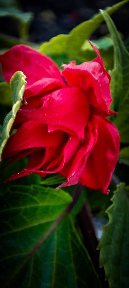 Фотография автора Оркина Ксения