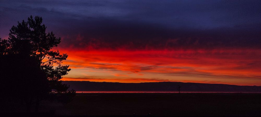 Фотография автора Оркина Ксения