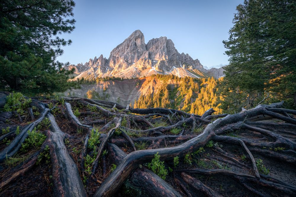 Photograph by Demir Pepic