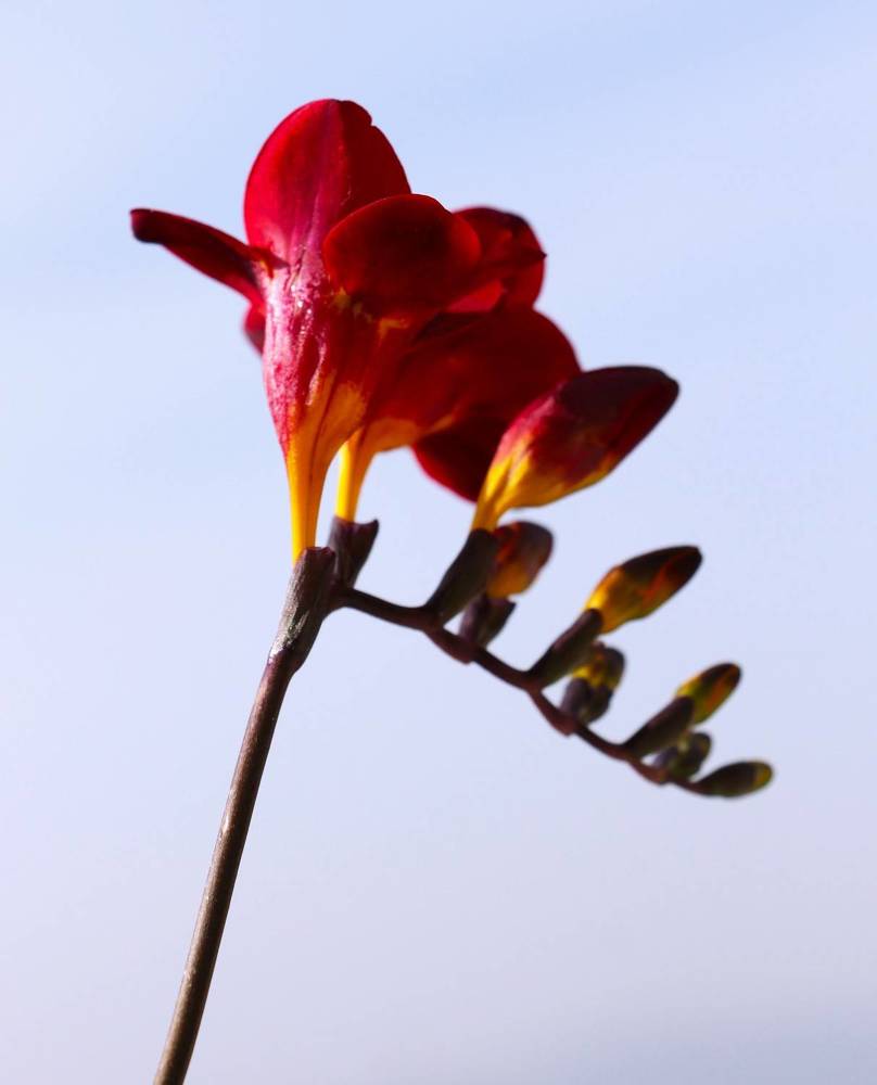 Photograph by Людмила Бутова