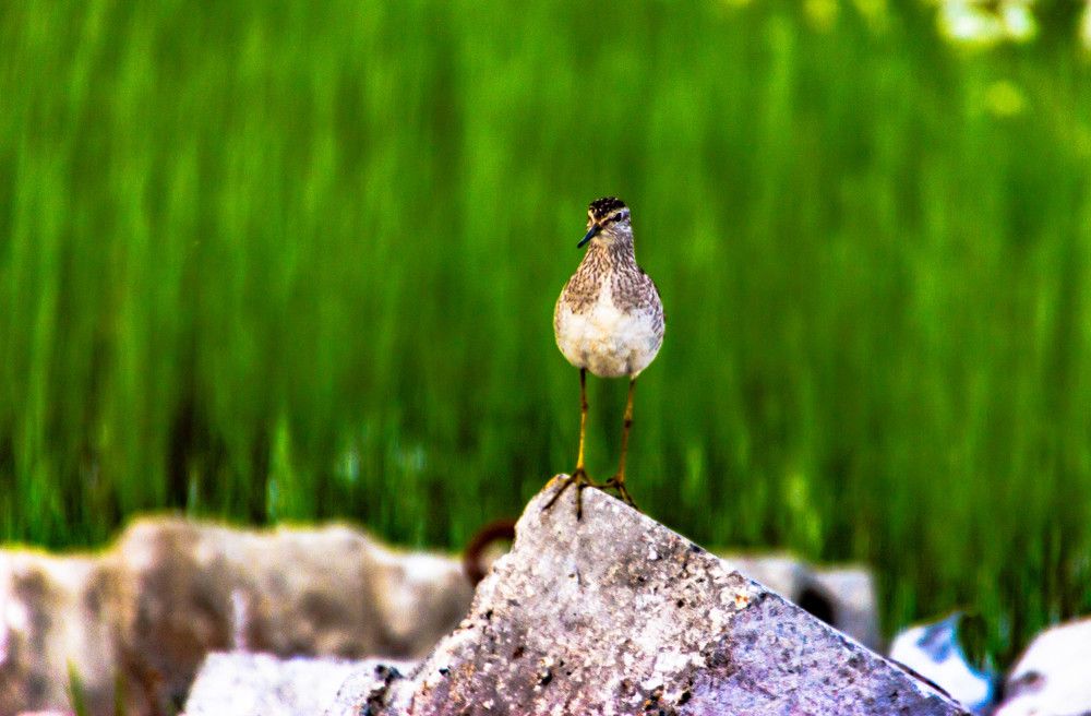 Photograph by Павел Лаврухин