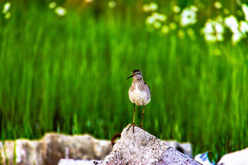 Photograph by Павел Лаврухин