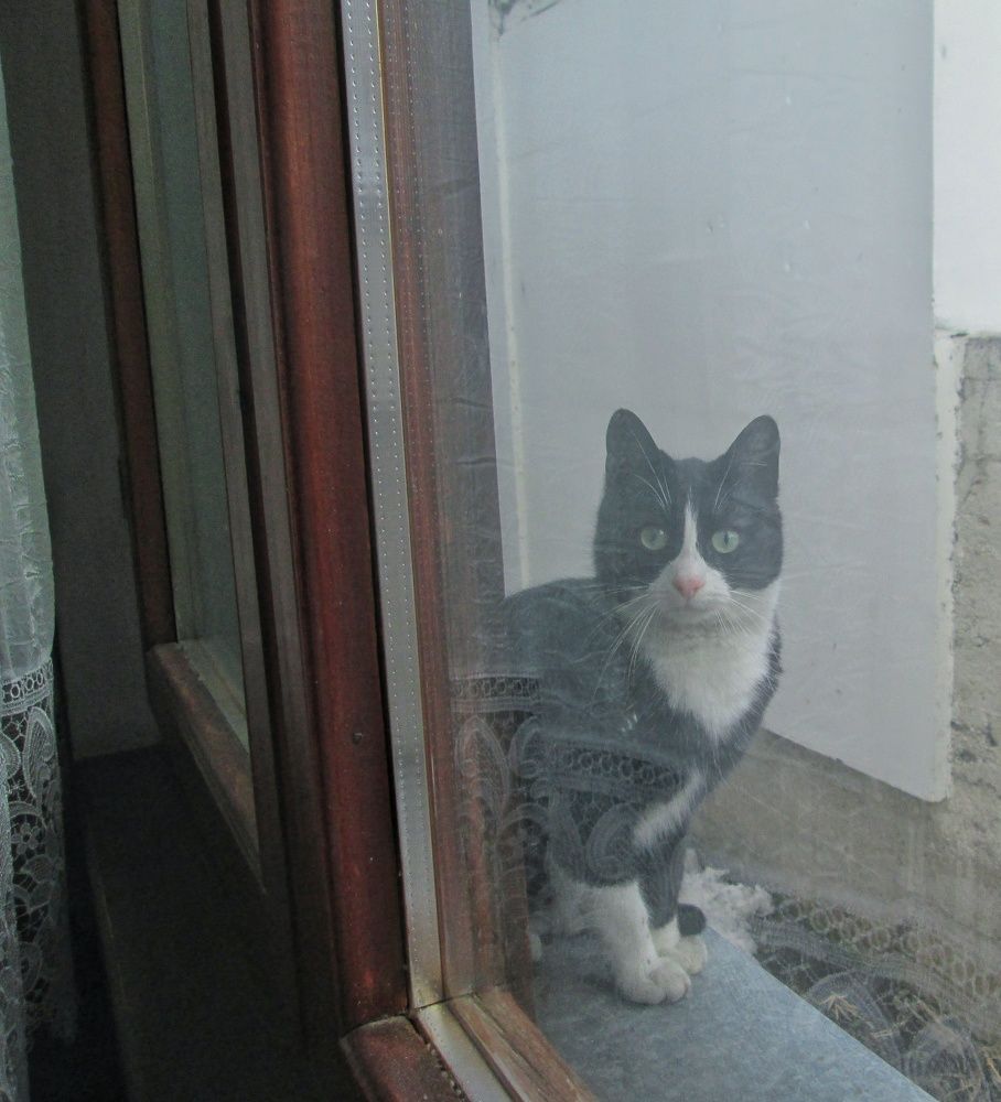 Photograph by Dragoslav Macanović