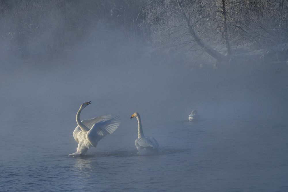 Photograph by Евгений Санин