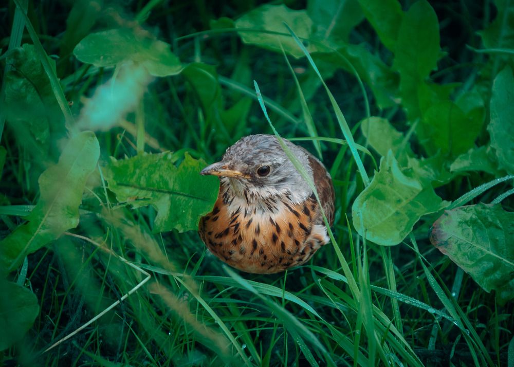 Photograph by Милена Полтавец