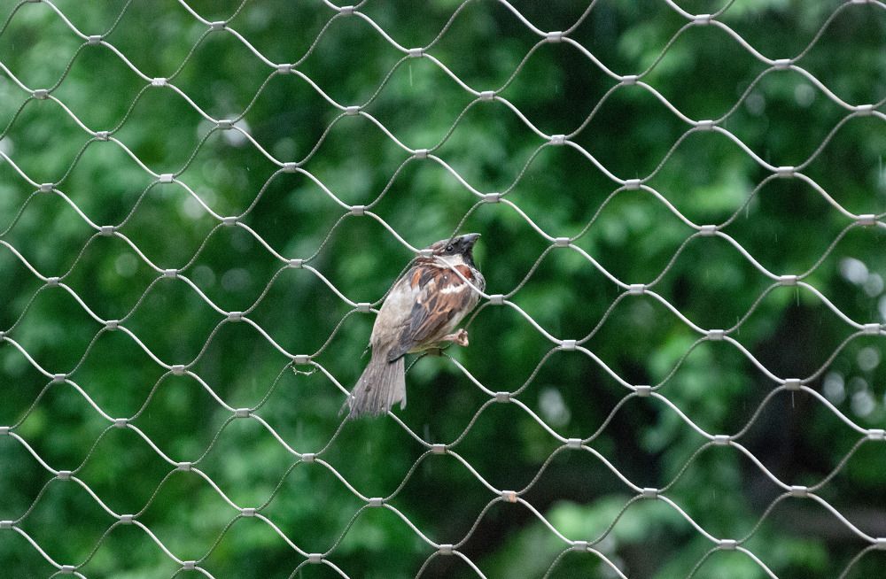 Photograph by Милена Полтавец