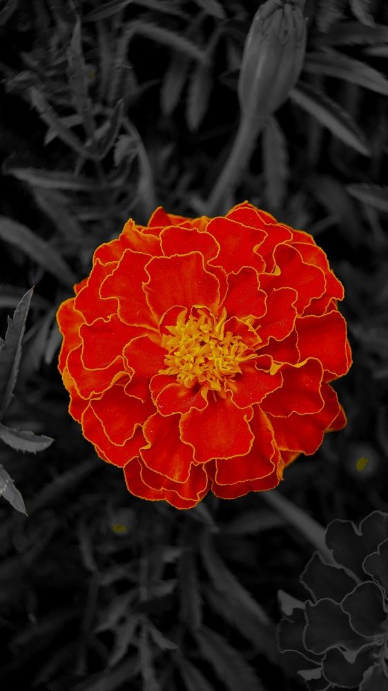 Photograph by Егор Жук