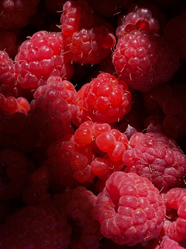 Фотография автора ГУЗАЛИЯ ГАНИЕВА