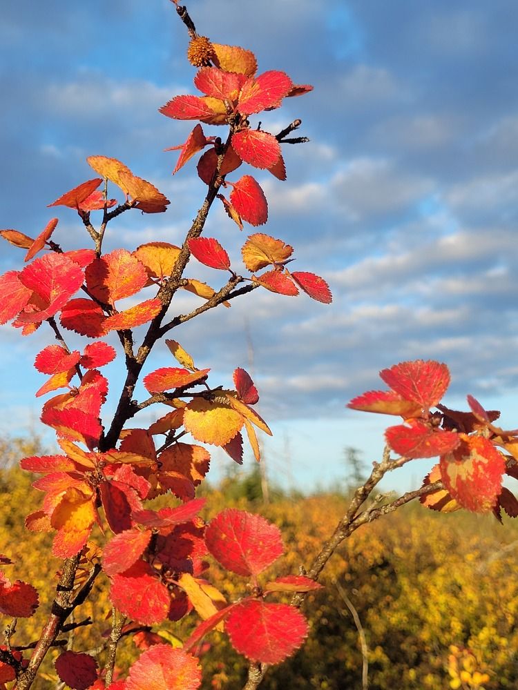 Фотография автора Казакова Людмила Ивановна