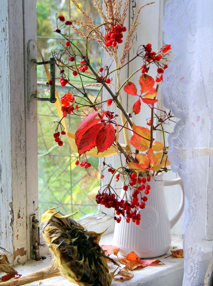 Photograph by Жанна Нечаева