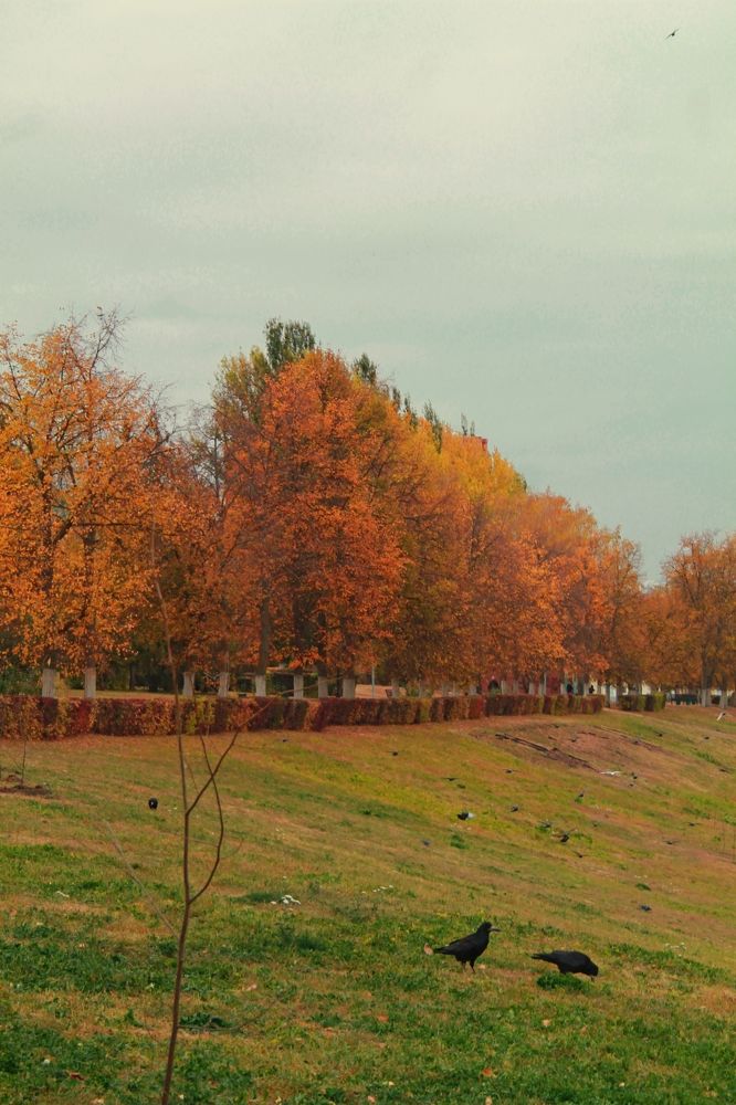 Photograph by Екатерина Иванова