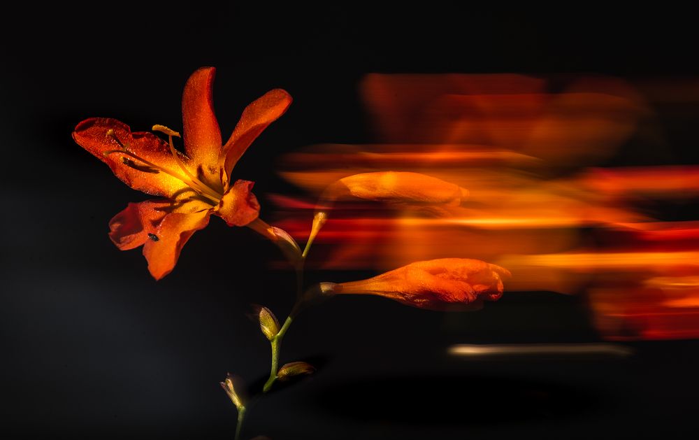 Ночной экспресс