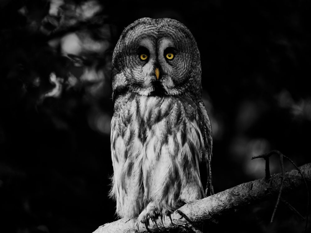 Photograph by Florian Wood