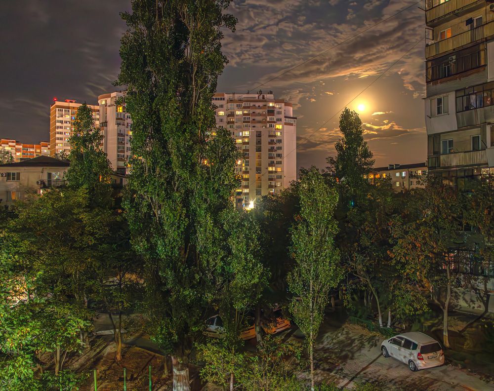 Photograph by Сергей Христинич