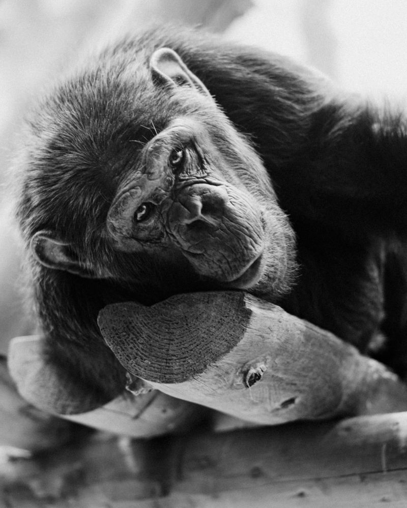 Photograph by Florian Wood