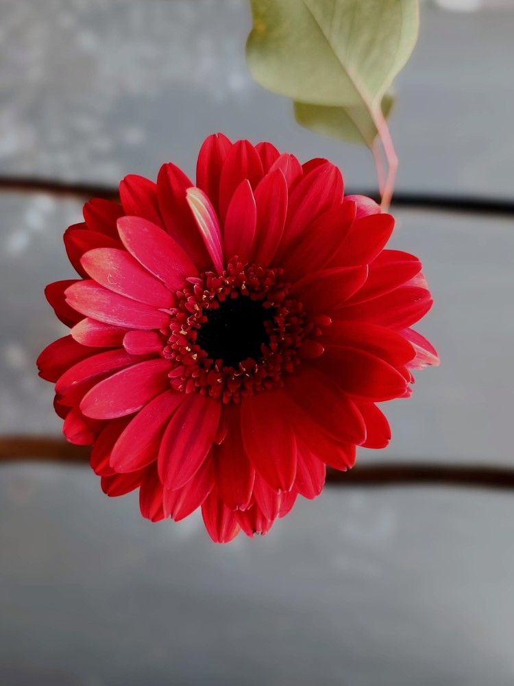 Photograph by Татьяна Яцкевич