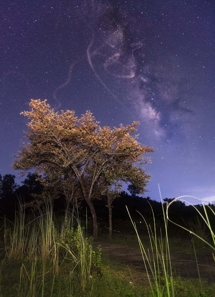 Photograph by SIMSON DAS