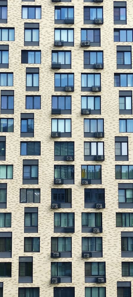 Фотография автора Васильева Ирина