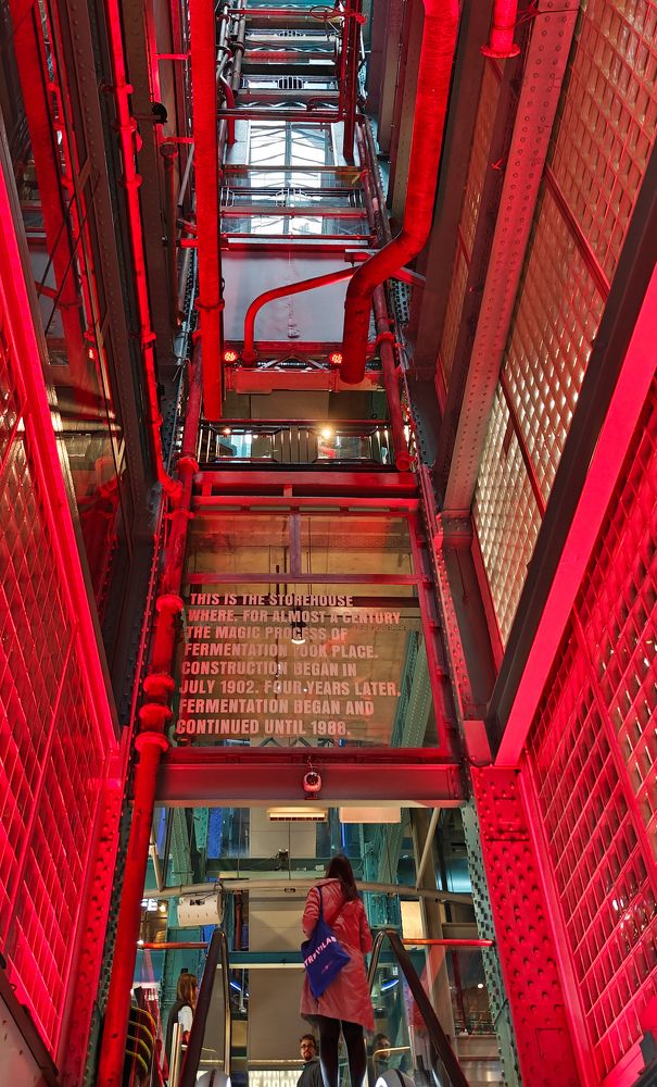 Photograph by Grădinaru Catalin