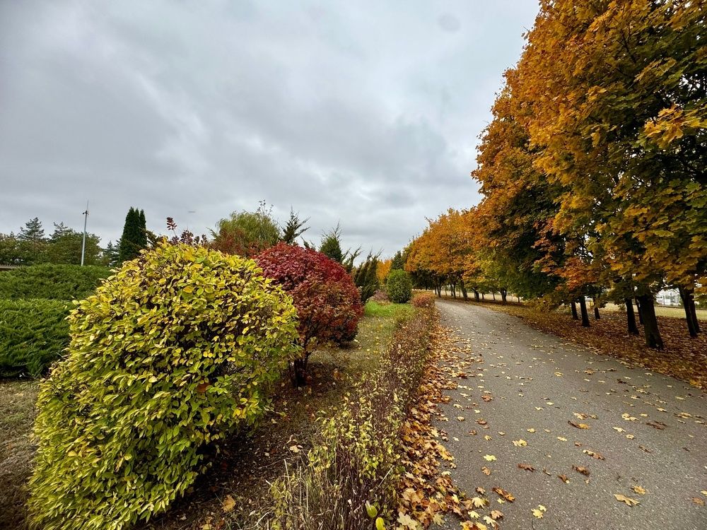 Фотография автора Виктория Зеленкова