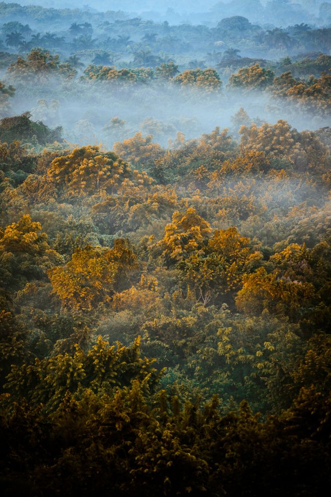 Photograph by José Pla