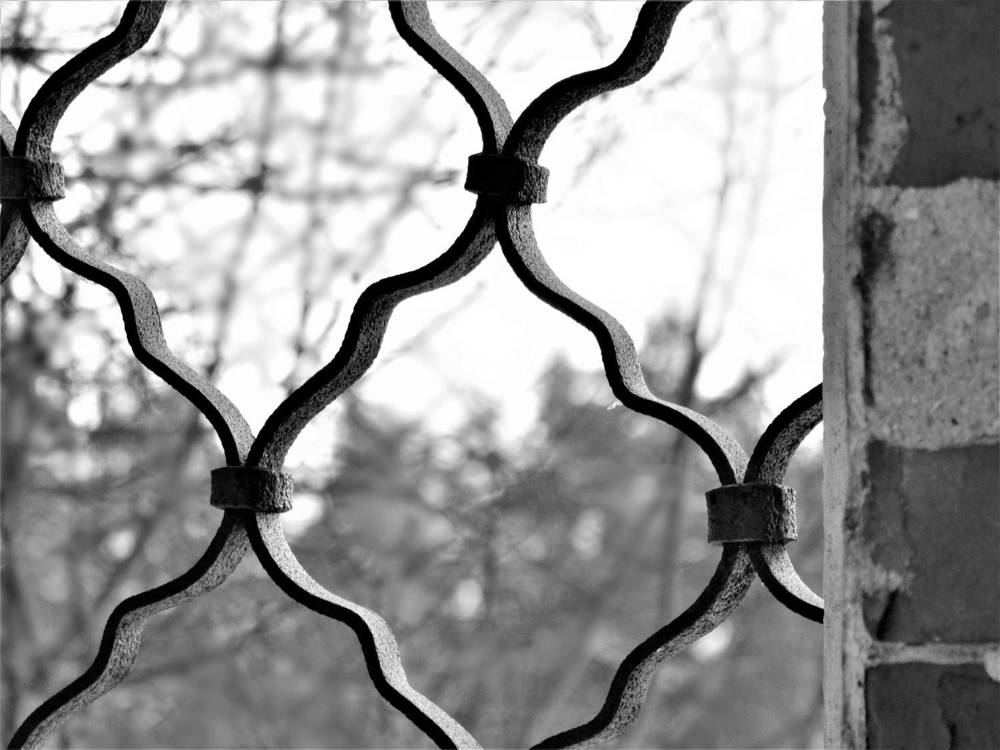 Photograph by Андрей Скрипниченко