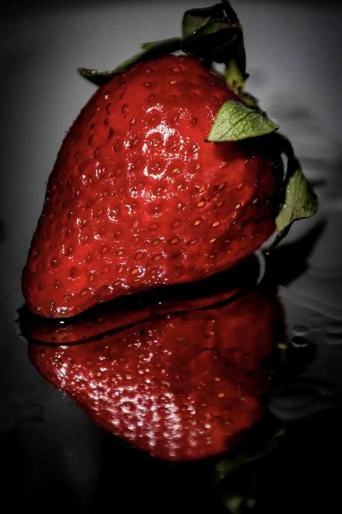 Photograph by Grădinaru Catalin