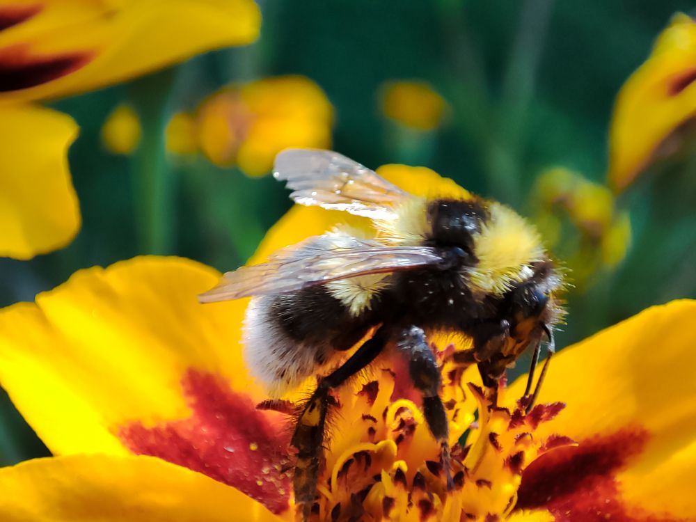 Photograph by Алёна Пшеленская