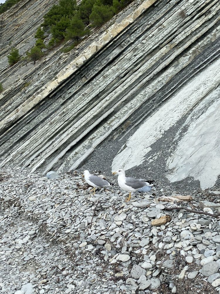 Photograph by Алиса Лукина