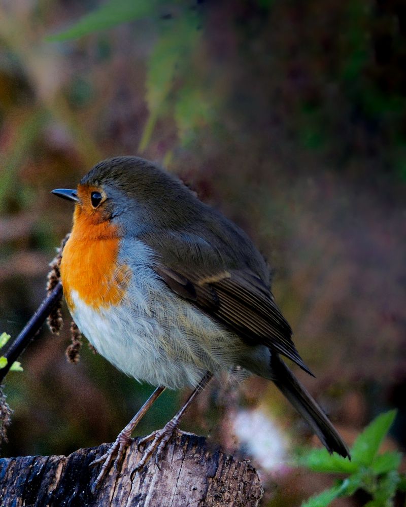 Photograph by Наталья Балабанова