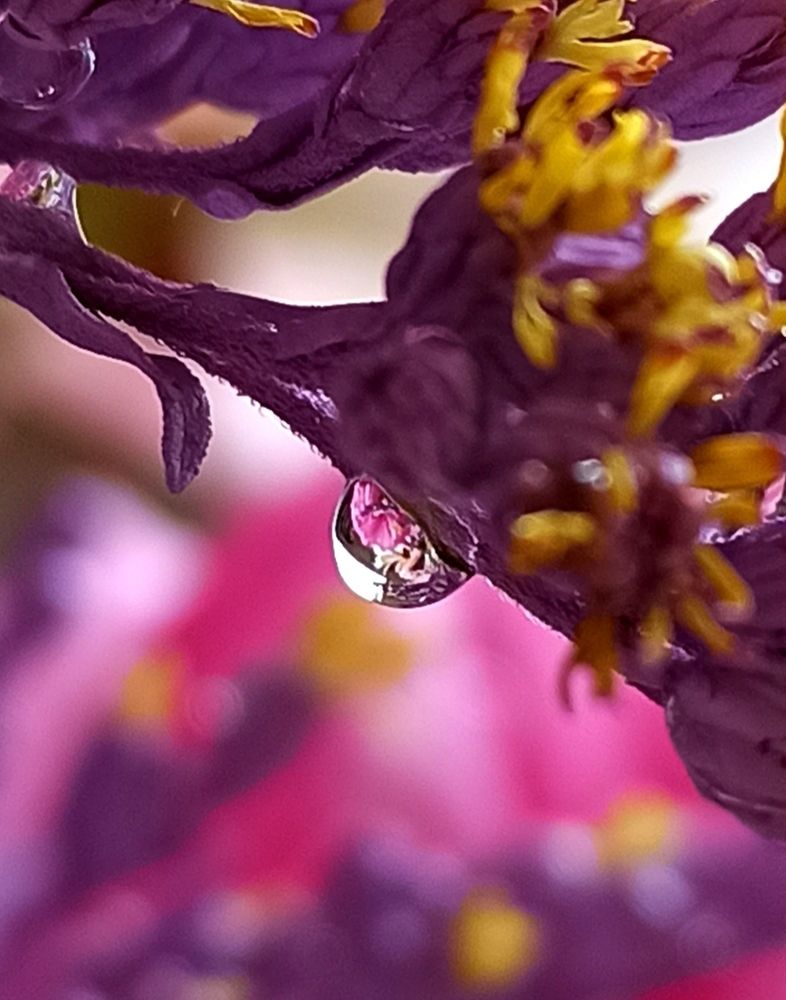 Photograph by Ольга Тихонова