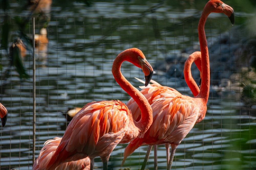 Фотография автора Виктория Зеленкова