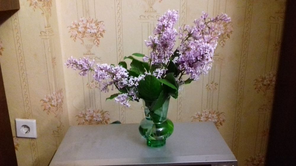 Photograph by Галина Петрушенко